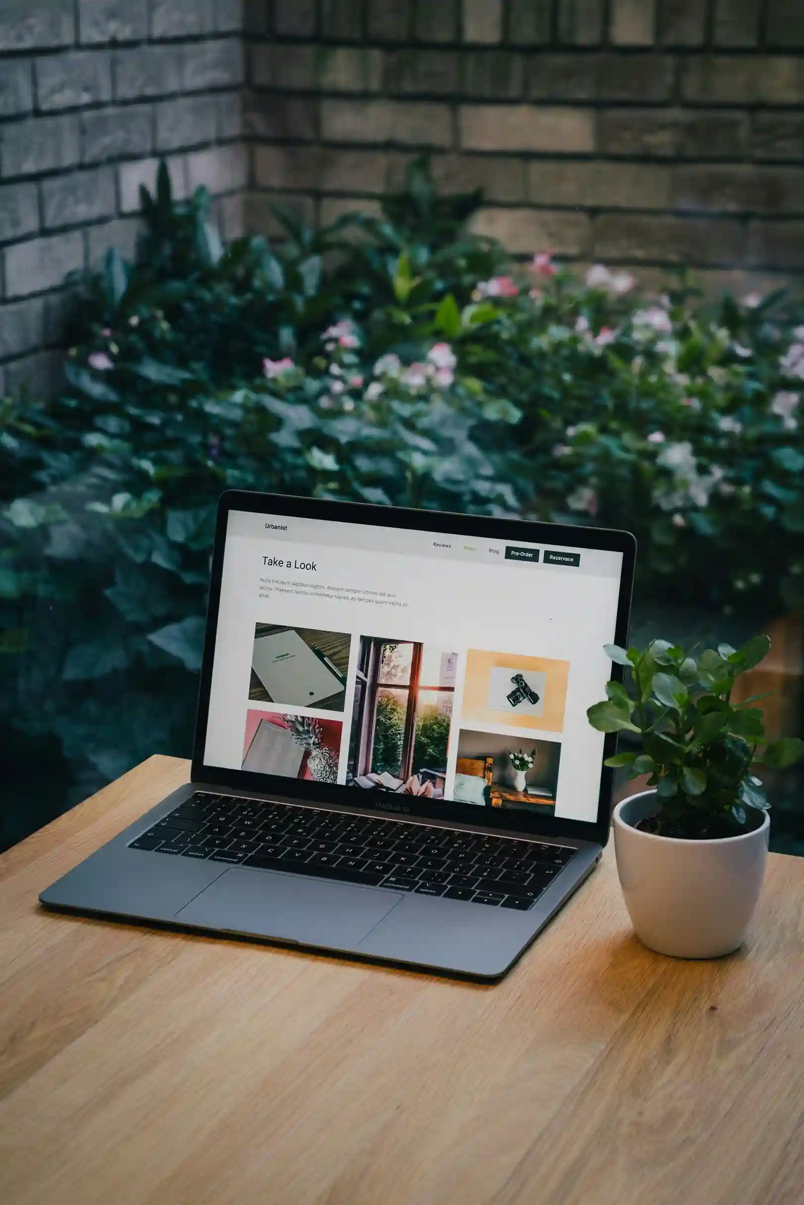 Full-Stack Website Development